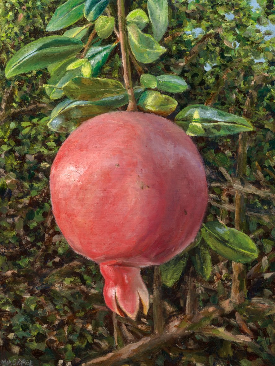 Pomegranate, oil on wood, by Mia Savage Kwok