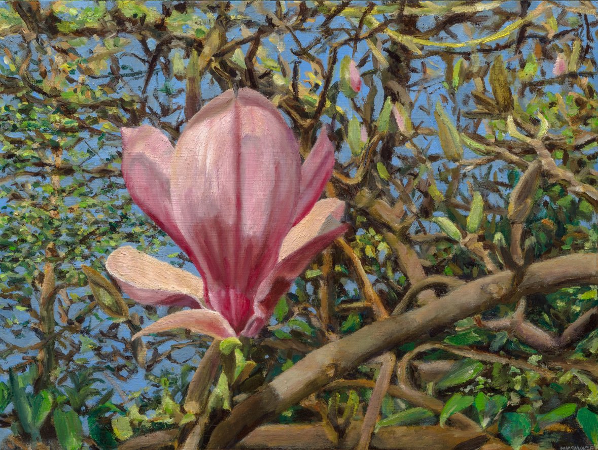 Magnolia, oil on wood, by Mia Savage Kwok